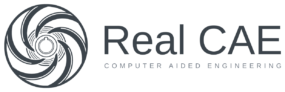 real cae logo horizontal no background